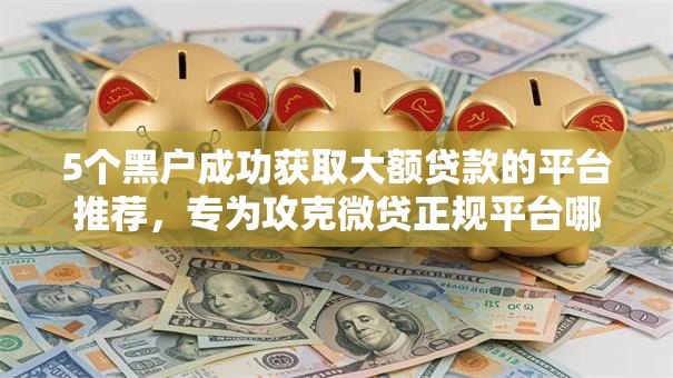 5个黑户成功获取大额贷款的平台推荐，专为攻克微贷正规平台哪个好下款难题