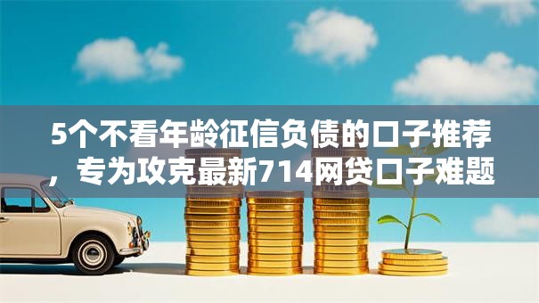 5个不看年龄征信负债的口子推荐，专为攻克最新714网贷口子难题