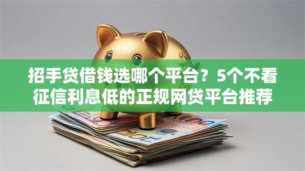 招手贷借钱选哪个平台？5个不看征信利息低的正规网贷平台推荐