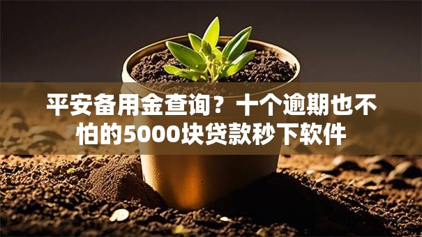 平安备用金查询？十个逾期也不怕的5000块贷款秒下软件