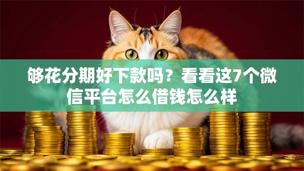 够花分期好下款吗?看看这7个微信平台怎么借钱怎么样 够花分期好下款吗?看看这7个微信平台怎么借钱怎么样