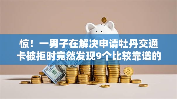 惊！一男子在解决申请牡丹交通卡被拒时竟然发现9个比较靠谱的借钱平台，事后分享了出来