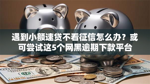 遇到小额速贷不看征信怎么办？或可尝试这5个网黑逾期下款平台