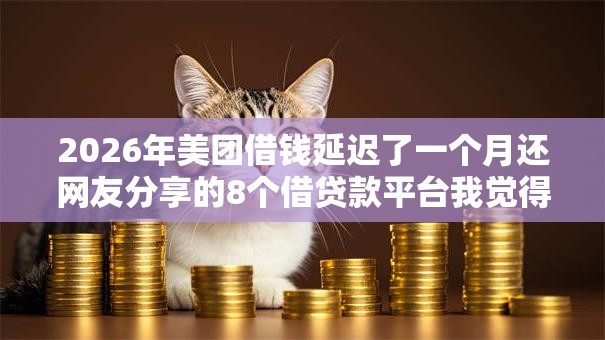 2026年美团借钱延迟了一个月还网友分享的8个借贷款平台我觉得不错！