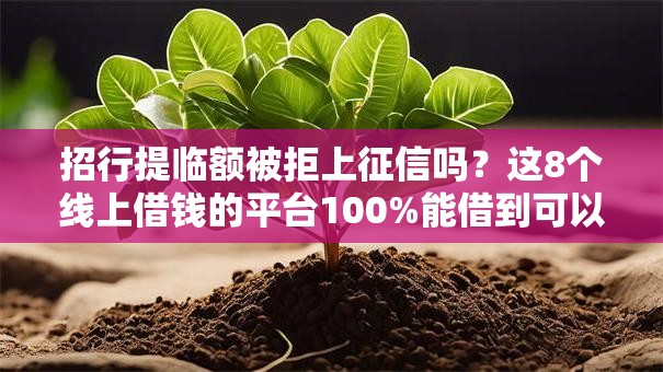 招行提临额被拒上征信吗？这8个线上借钱的平台100%能借到可以试试