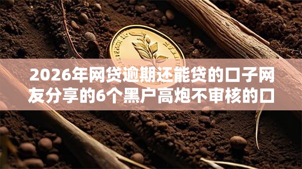 2026年网贷逾期还能贷的口子网友分享的6个黑户高炮不审核的口子我觉得不错！