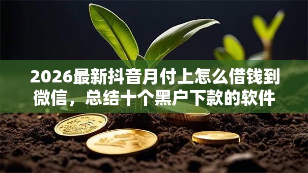 2026最新抖音月付上怎么借钱到微信，总结十个黑户下款的软件！