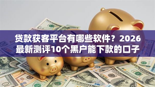 贷款获客平台有哪些软件？2026最新测评10个黑户能下款的口子