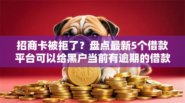 招商卡被拒了？盘点最新5个借款平台可以给黑户当前有逾期的借款一万