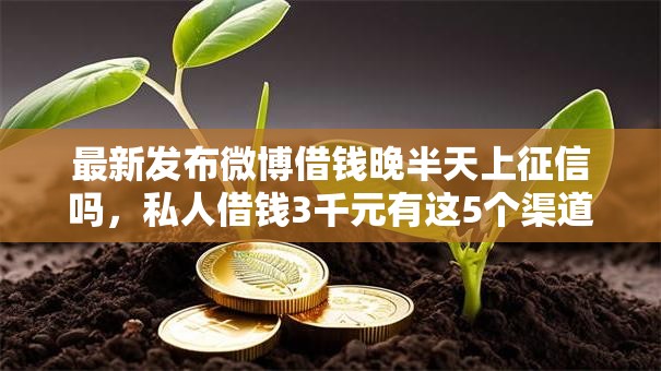 最新发布微博借钱晚半天上征信吗，私人借钱3千元有这5个渠道