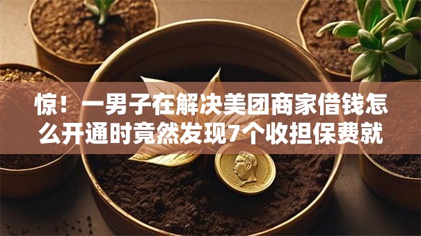 惊！一男子在解决美团商家借钱怎么开通时竟然发现7个收担保费就能下款的口子，事后分享了出来
