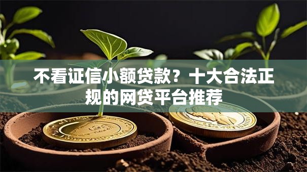 不看证信小额贷款？十大合法正规的网贷平台推荐