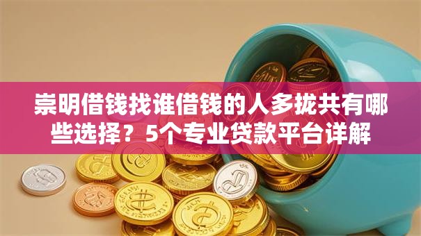崇明借钱找谁借钱的人多拢共有哪些选择？5个专业贷款平台详解