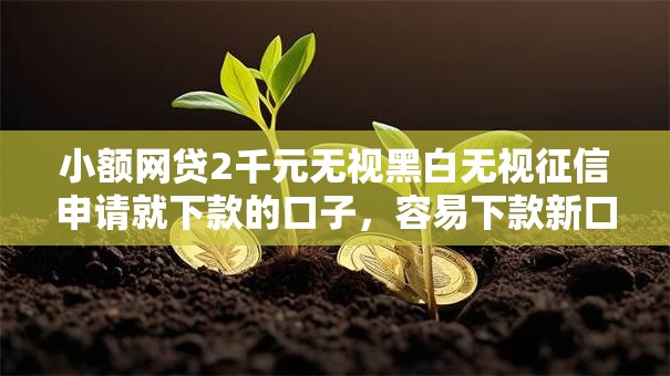 小额网贷2千元无视黑白无视征信申请就下款的口子，容易下款新口子的6个平台介绍
