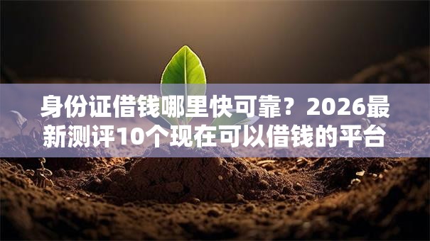身份证借钱哪里快可靠？2026最新测评10个现在可以借钱的平台