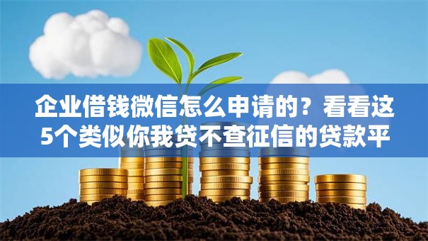 企业借钱微信怎么申请的？看看这5个类似你我贷不查征信的贷款平台怎么样