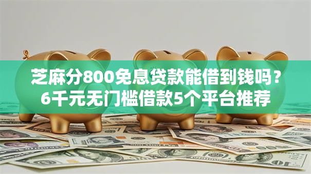 芝麻分800免息贷款能借到钱吗？6千元无门槛借款5个平台推荐
