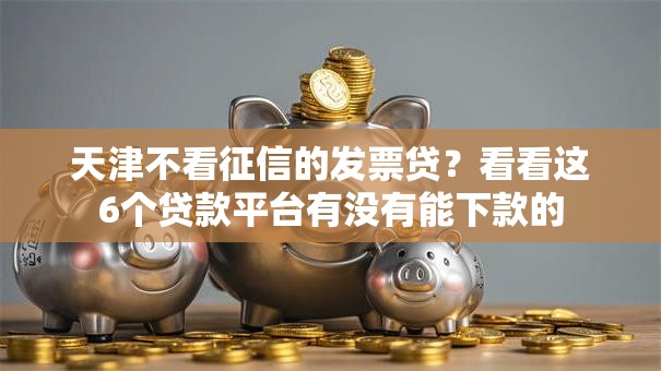 天津不看征信的发票贷？看看这6个贷款平台有没有能下款的