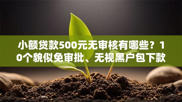 小额贷款500元无审核有哪些？10个貌似免审批、无视黑户包下款的口子合集