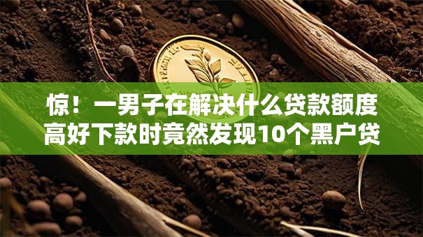 惊！一男子在解决什么贷款额度高好下款时竟然发现10个黑户贷款口子秒下的，事后分享了出来