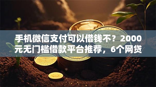手机微信支付可以借钱不？2000元无门槛借款平台推荐，6个网贷平台有多少家盘点