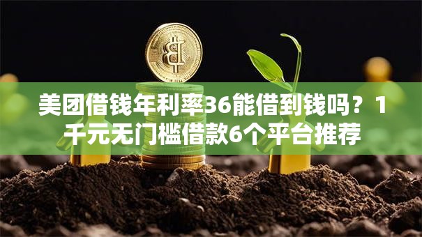 美团借钱年利率36能借到钱吗？1千元无门槛借款6个平台推荐