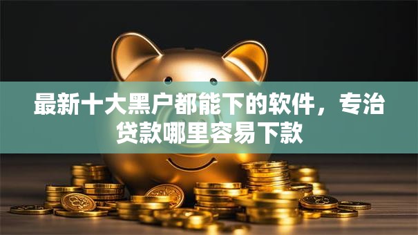 最新十大黑户都能下的软件，专治贷款哪里容易下款