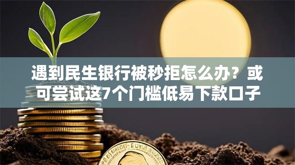 遇到民生银行被秒拒怎么办？或可尝试这7个门槛低易下款口子