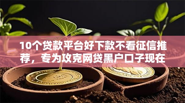 10个贷款平台好下款不看征信推荐，专为攻克网贷黑户口子现在难题