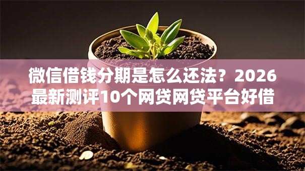 微信借钱分期是怎么还法?2026最新测评10个网贷网贷平台好借款 微信借钱分期是怎么还法?2026最新测评10个网贷网贷平台好借款