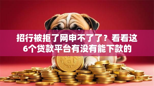 招行被拒了网申不了了？看看这6个贷款平台有没有能下款的