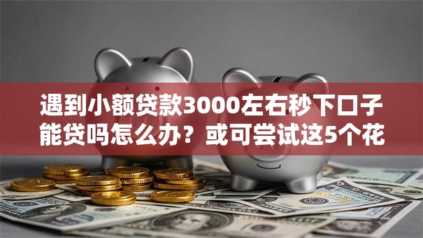 遇到小额贷款3000左右秒下口子能贷吗怎么办？或可尝试这5个花户黑户秒下的口子