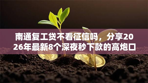 南通复工贷不看征信吗,分享2026年最新8个深夜秒下款的高炮口子 南通复工贷不看征信吗,分享2026年最新8个深夜秒下款的高炮口子