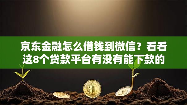 京东金融怎么借钱到微信？看看这8个贷款平台有没有能下款的