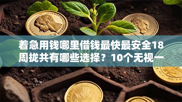 着急用钱哪里借钱最快最安全18周拢共有哪些选择？10个无视一切是人就下款口子详解