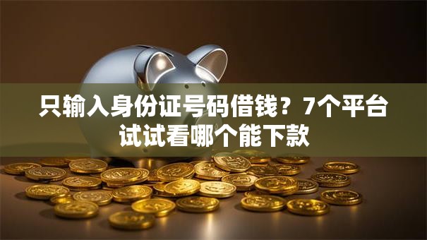 只输入身份证号码借钱？7个平台试试看哪个能下款