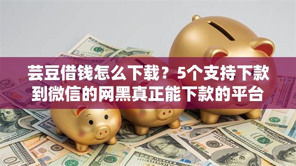 芸豆借钱怎么下载？5个支持下款到微信的网黑真正能下款的平台