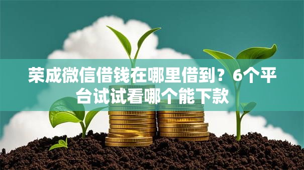 荣成微信借钱在哪里借到？6个平台试试看哪个能下款