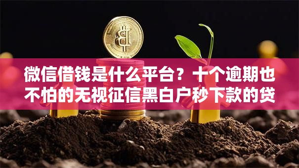 微信借钱是什么平台？十个逾期也不怕的无视征信黑白户秒下款的贷款