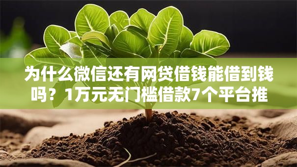 为什么微信还有网贷借钱能借到钱吗？1万元无门槛借款7个平台推荐