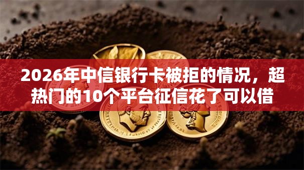 2026年中信银行卡被拒的情况，超热门的10个平台征信花了可以借三五千块钱推荐
