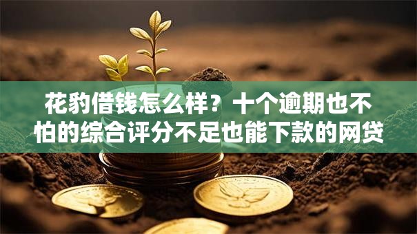 花豹借钱怎么样？十个逾期也不怕的综合评分不足也能下款的网贷