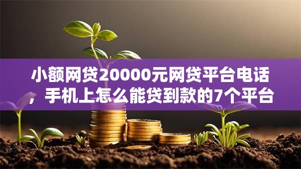 小额网贷20000元网贷平台电话,手机上怎么能贷到款的7个平台介绍 小额网贷20000元网贷平台电话,手机上怎么能贷到款的7个平台介绍