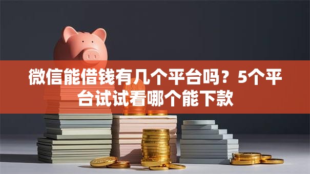 微信能借钱有几个平台吗？5个平台试试看哪个能下款