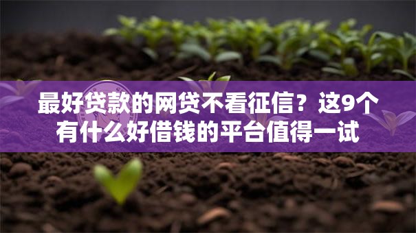 最好贷款的网贷不看征信？这9个有什么好借钱的平台值得一试