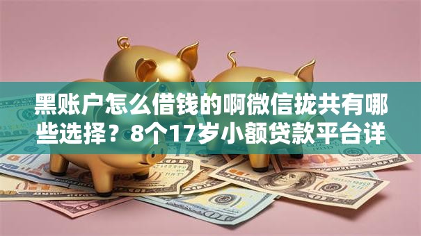 黑账户怎么借钱的啊微信拢共有哪些选择？8个17岁小额贷款平台详解