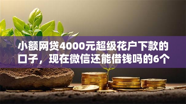 小额网贷4000元超级花户下款的口子,现在微信还能借钱吗的6个平台介绍 小额网贷4000元超级花户下款的口子,现在微信还能借钱吗的6个平台介绍