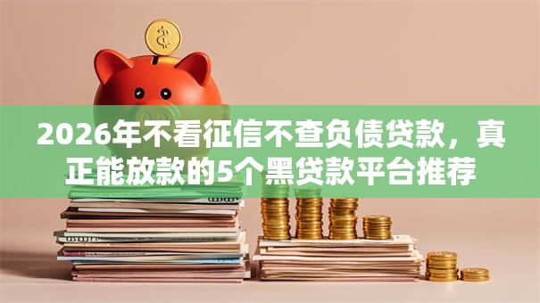 2026年不看征信不查负债贷款,真正能放款的5个黑贷款平台推荐 2026年不看征信不查负债贷款,真正能放款的5个黑贷款平台推荐