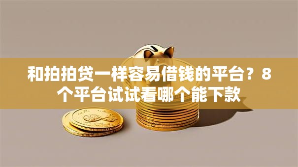 和拍拍贷一样容易借钱的平台？8个平台试试看哪个能下款