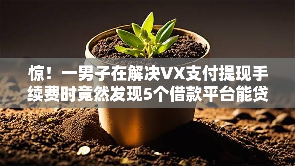 惊！一男子在解决VX支付提现手续费时竟然发现5个借款平台能贷款，事后分享了出来